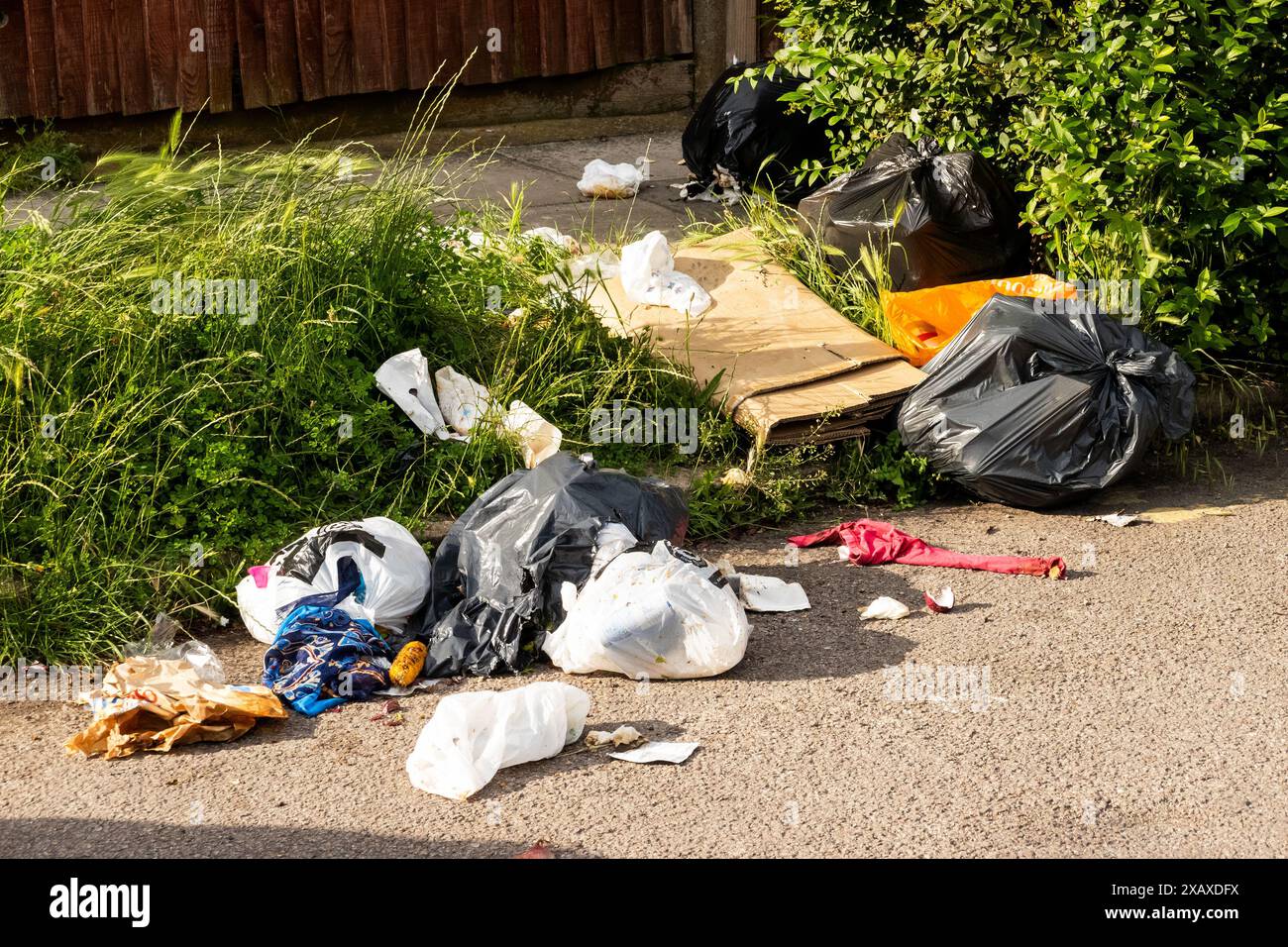 Rubish dumped on both sides of road hi-res stock photography and images ...