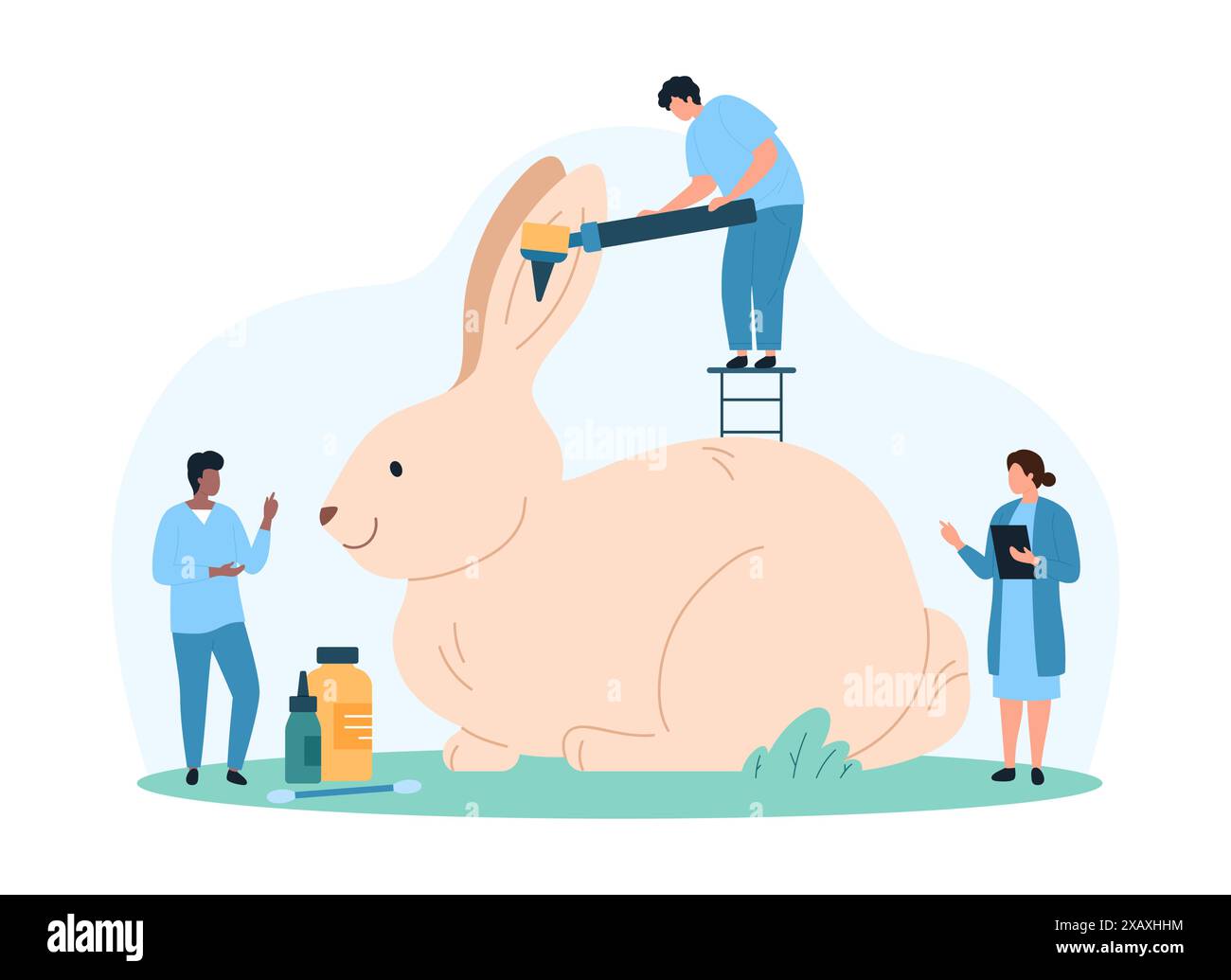 Medical examination of rabbit ear by veterinarian in vet hospital. Tiny ...