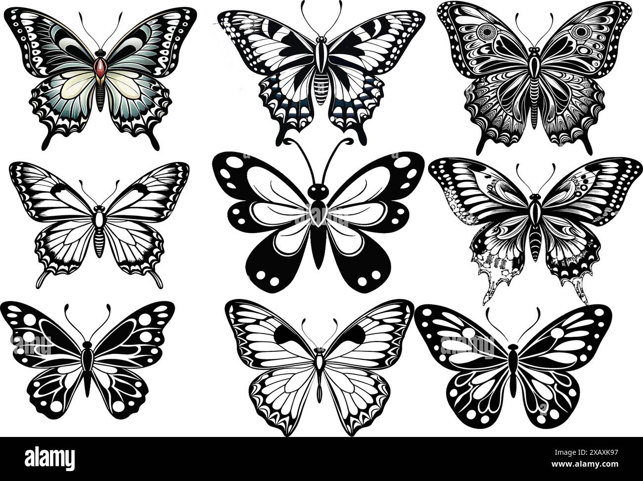 beautiful vector image of a butterfly silhouette isolated illustration. Stock Vector