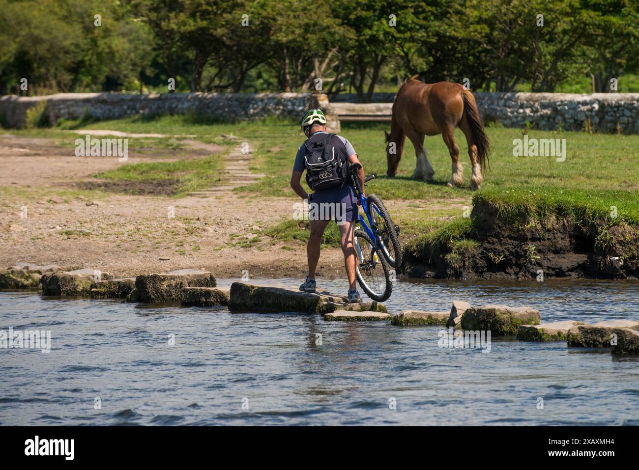 Crossing the stepping stones across The River Ewenny at Ogmore Castle near Bridgend South Wales . ( Tuesday 23/6/15 ). Stock Photo