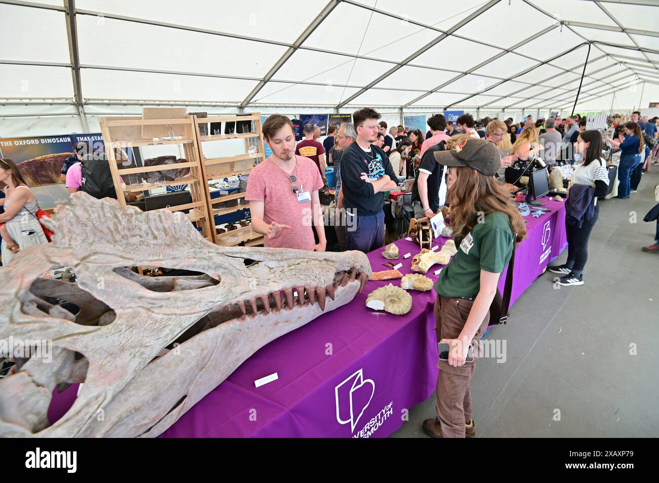 Annual fossil festival 2024 hi-res stock photography and images - Alamy