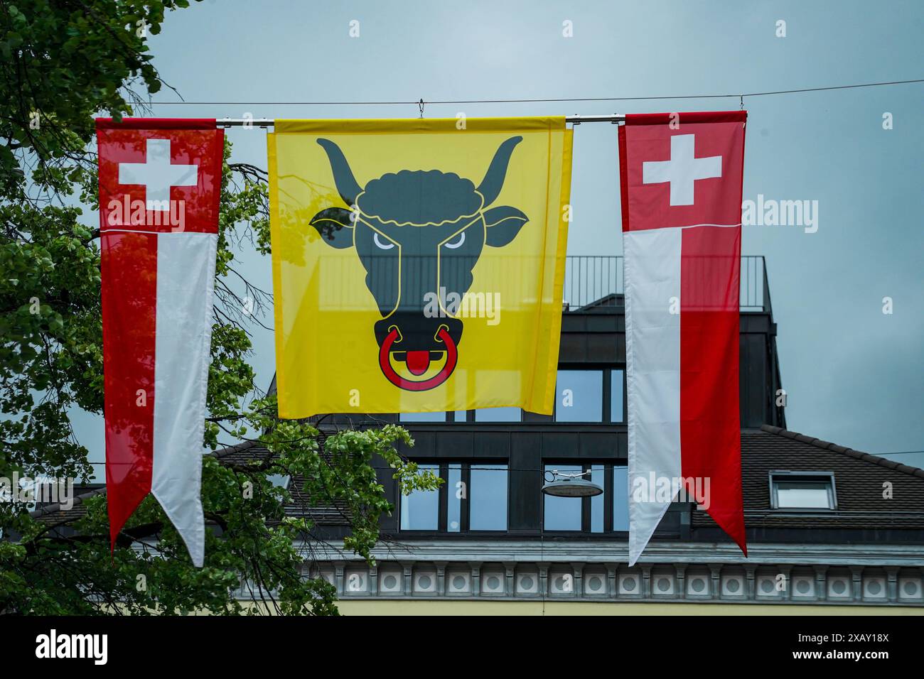 The Enchanting Allure of Fahne Schweiz Bild: A Tapestry of History, Benefits, and Urgency