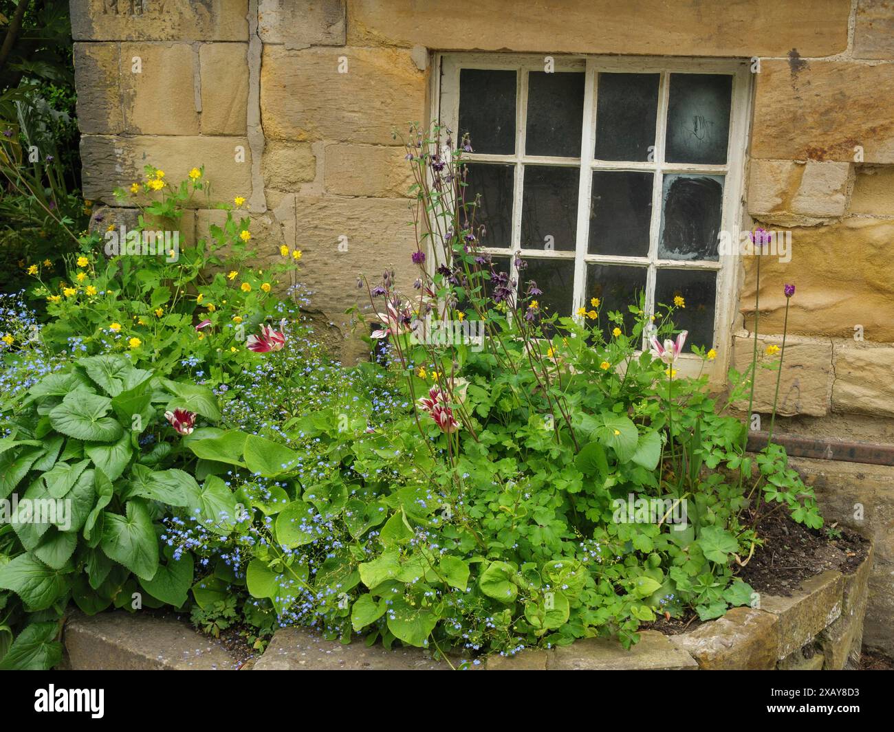 A stone house with a window surrounded by blooming flowers and green ...