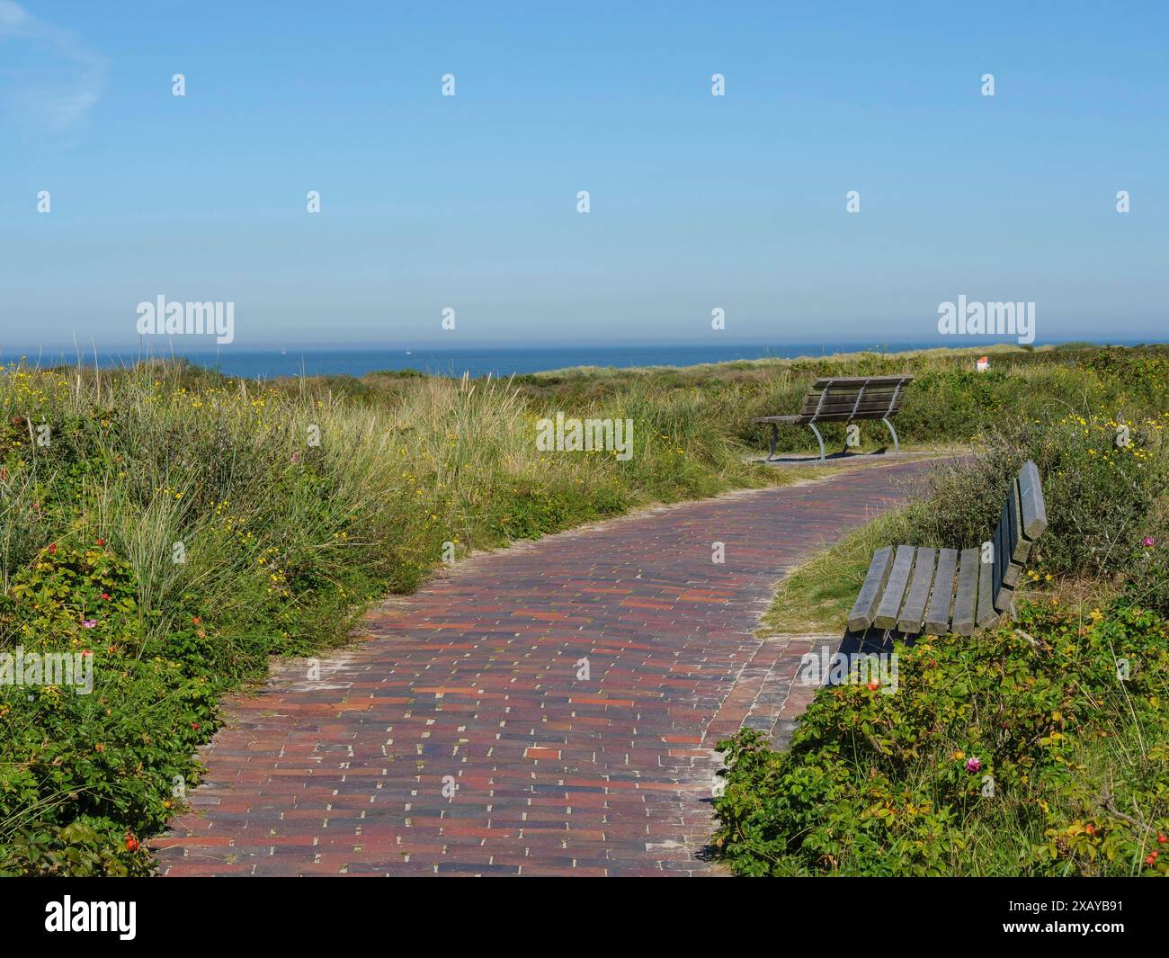 A cobbled path with benches leads through a wide, green dune landscape ...