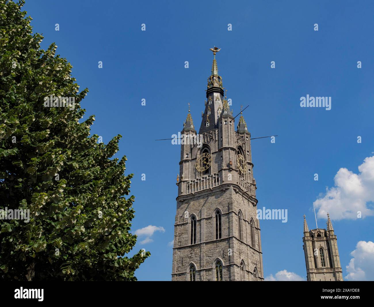 Bell Tower Of Gothic Architecture Next To A Tree Under A Blue Sky bell-tower-of-gothic-architecture-next-to-a-tree-under-a-blue-sky