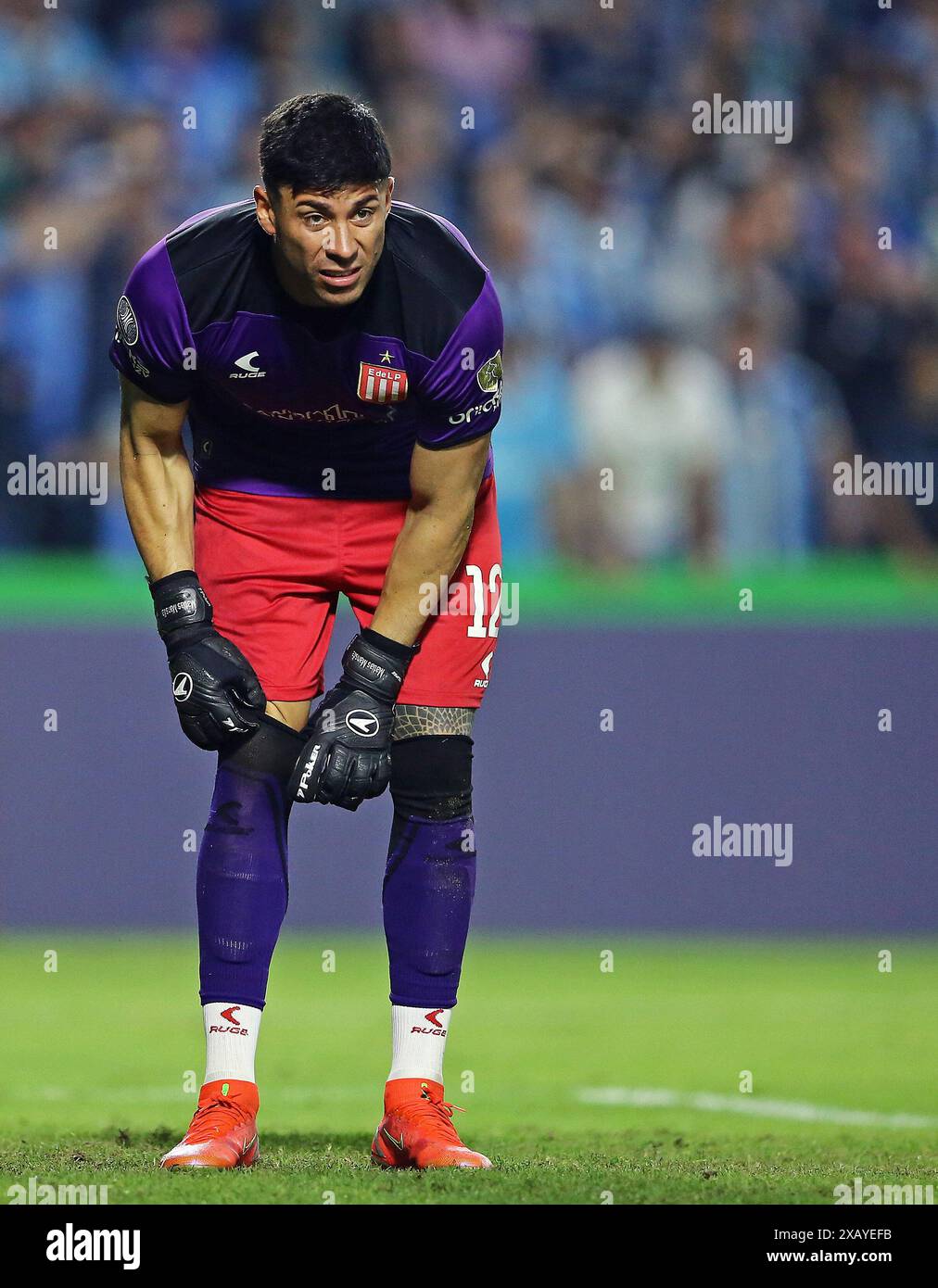 Curitiba, Brazil. 08th June, 2024. Goalkeeper, Matias Mansilla of  Estudiantes, during the match between Gremio and Estudiantes for the 5st  round of Group C of Libertadores 2024, at Couto Pereira Stadium, in
