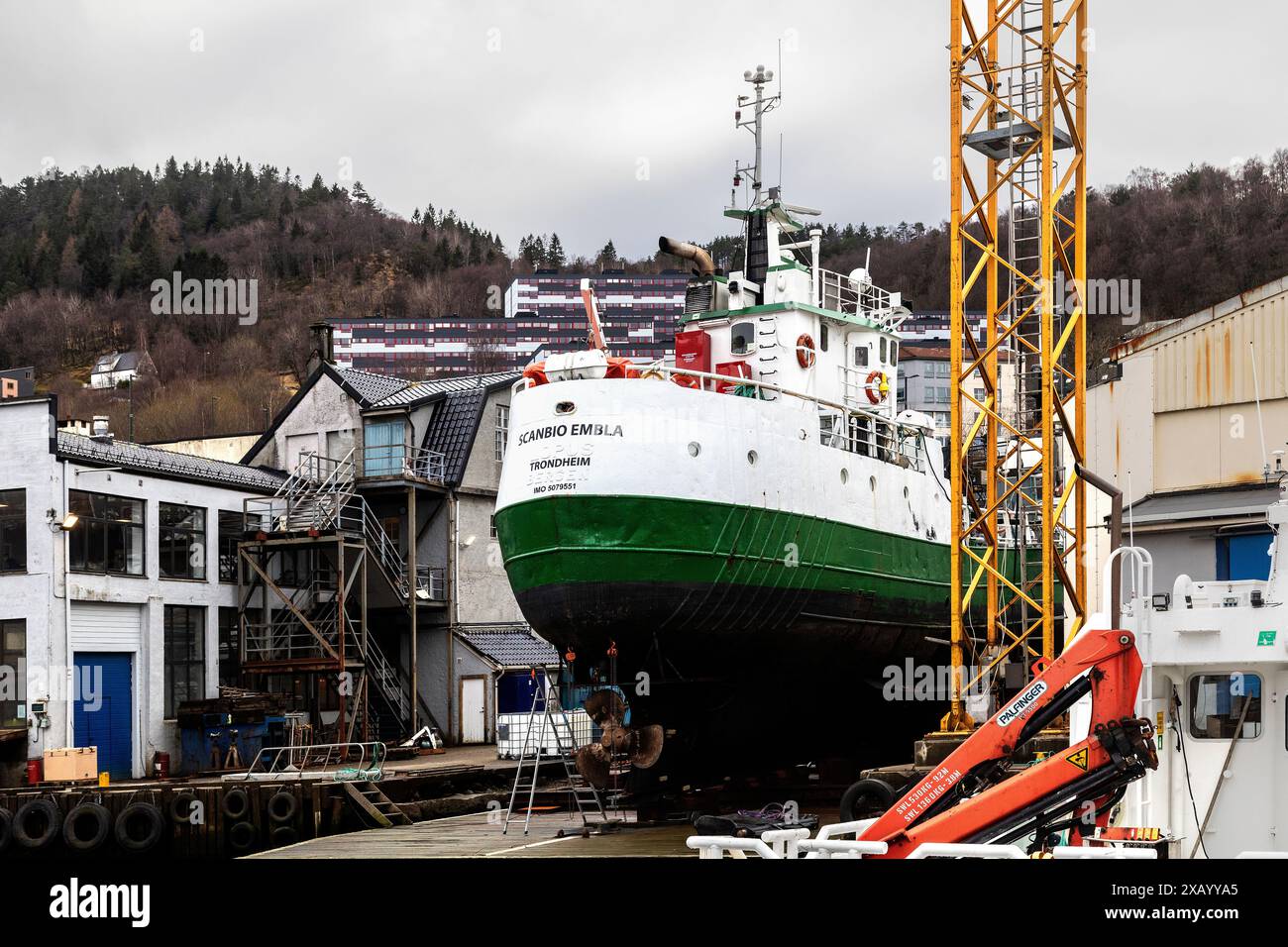 Old vessel, Scanbio Embla (b.1961), rebuilt as a wellboat -  at Endur shipyard at Laksevaag, in the port of Bergen, Norway. Stock Photo