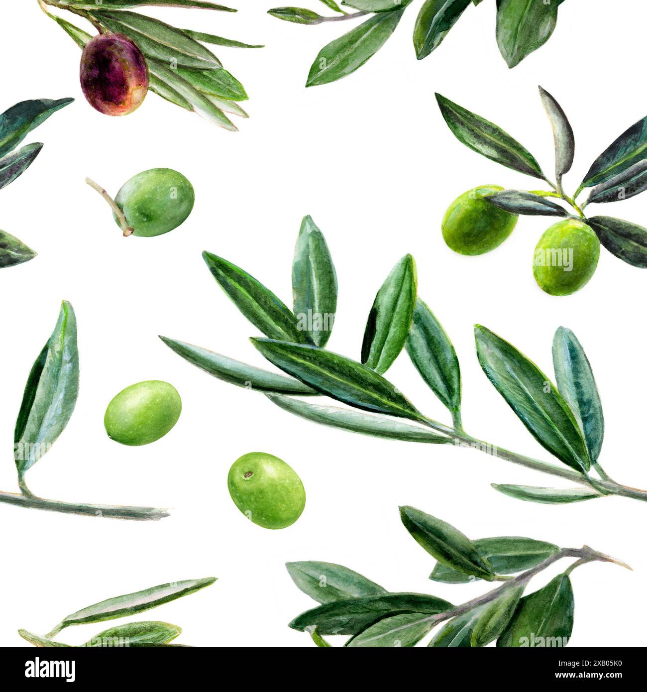 Watercolor Olives Branch Pattern with Seamless Green and Black Leaves ...