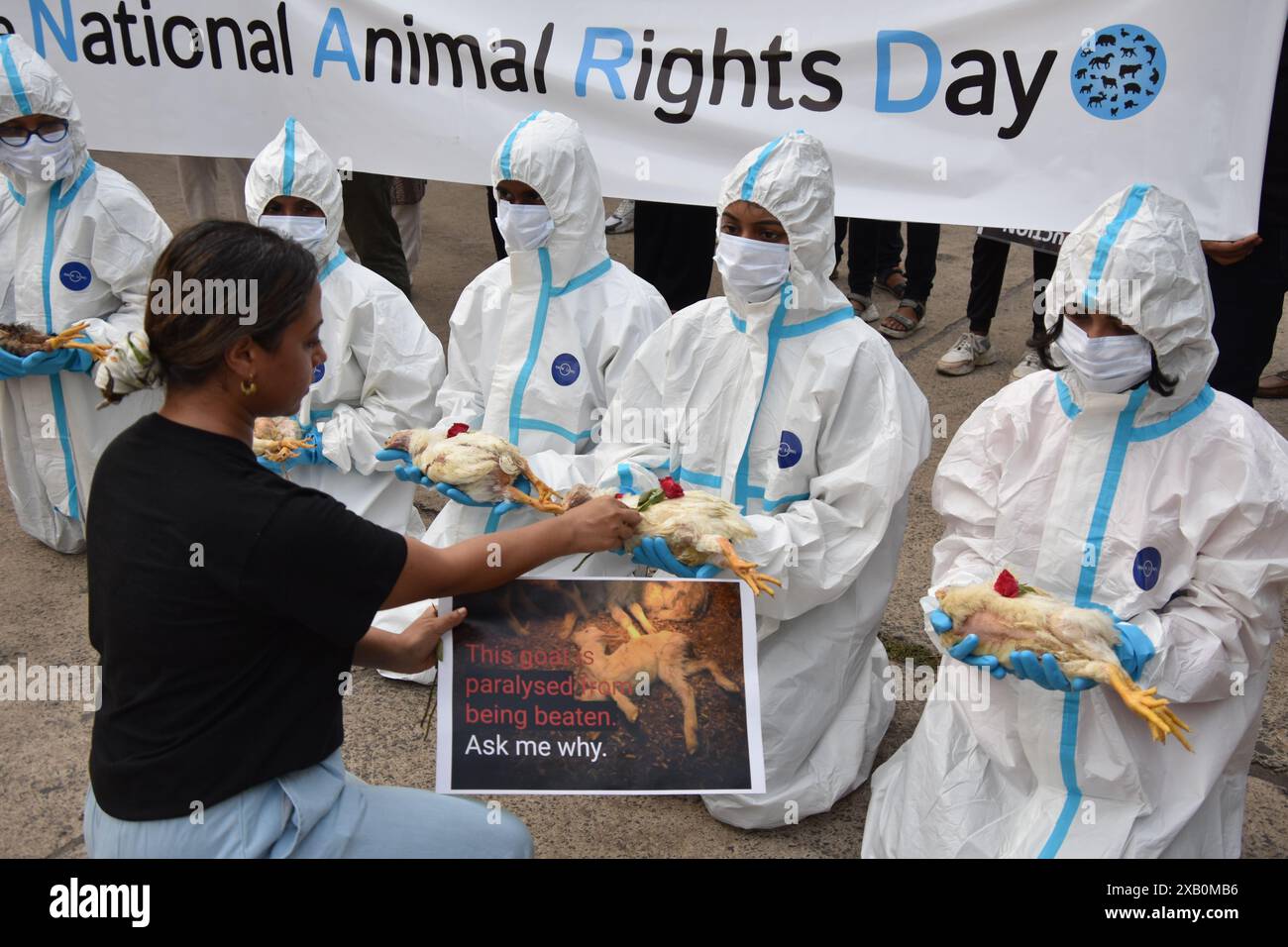 Animal rights activists from the 'Our Planet. Theirs Too.' community ...