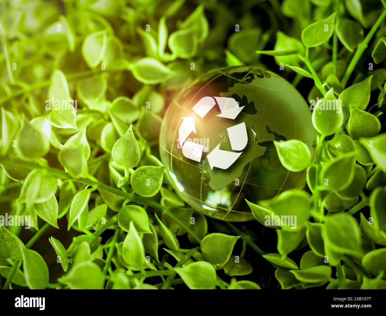 Closeup recycle icon on small glass globe on green nature leaves plant ...