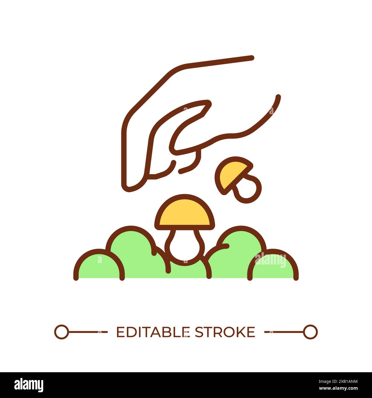 Mushroom planting RGB color icon Stock Vector Image & Art Alamy