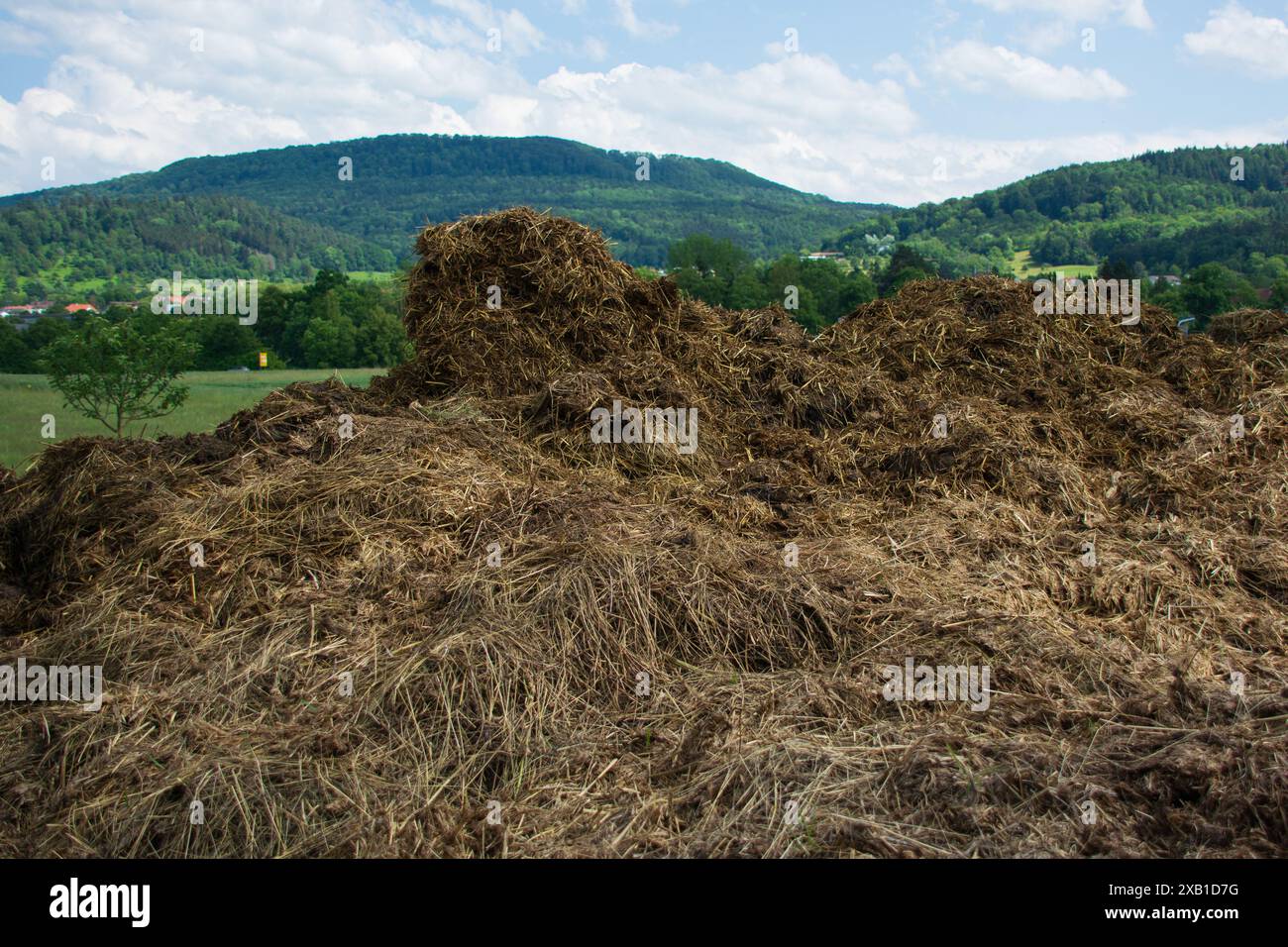large dung heap with cow dung and straw in idyllic rural surroundings Stock  Photo - Alamy