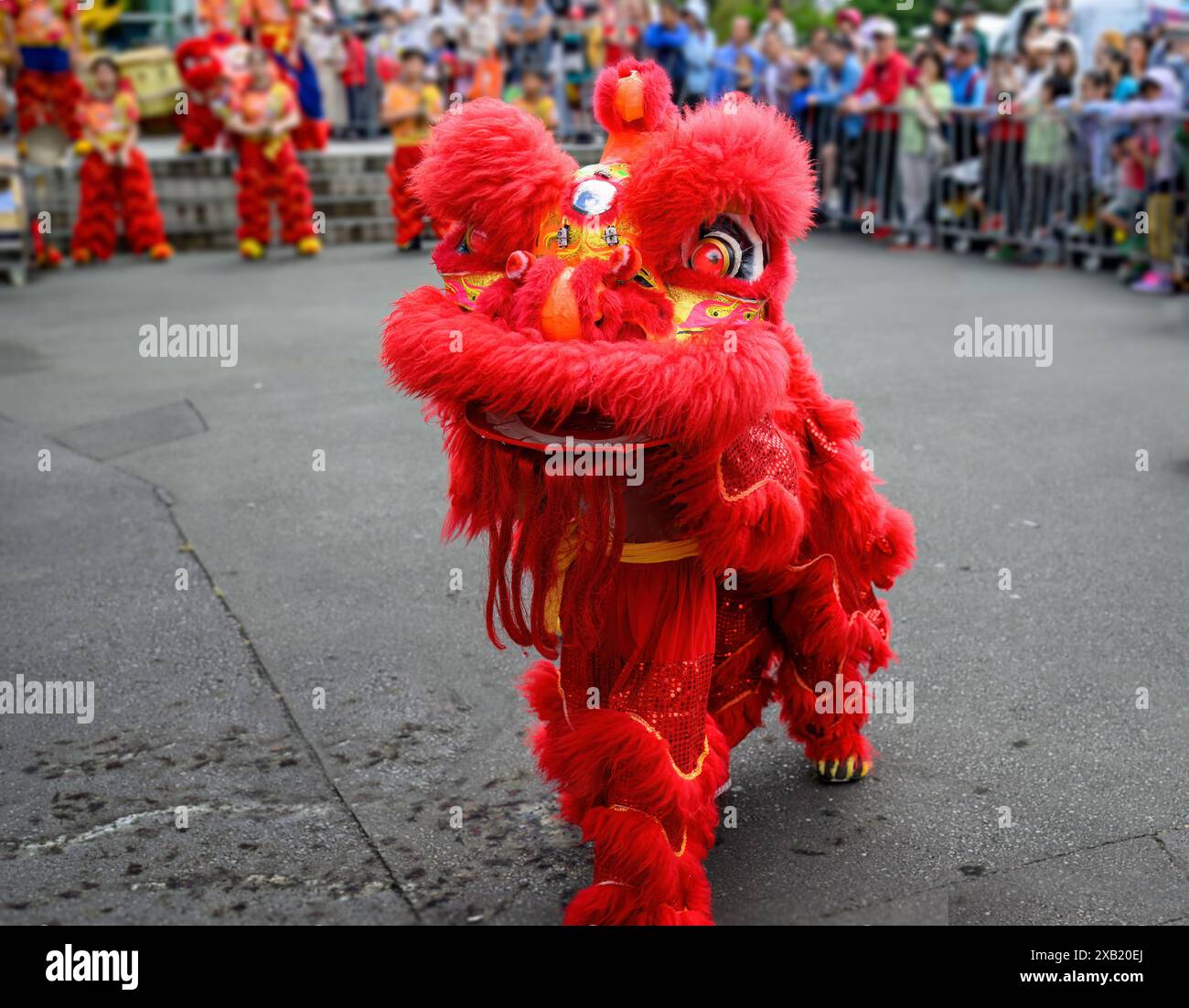 Lion dance to celebrate Chinese New Year. Free to public street ...