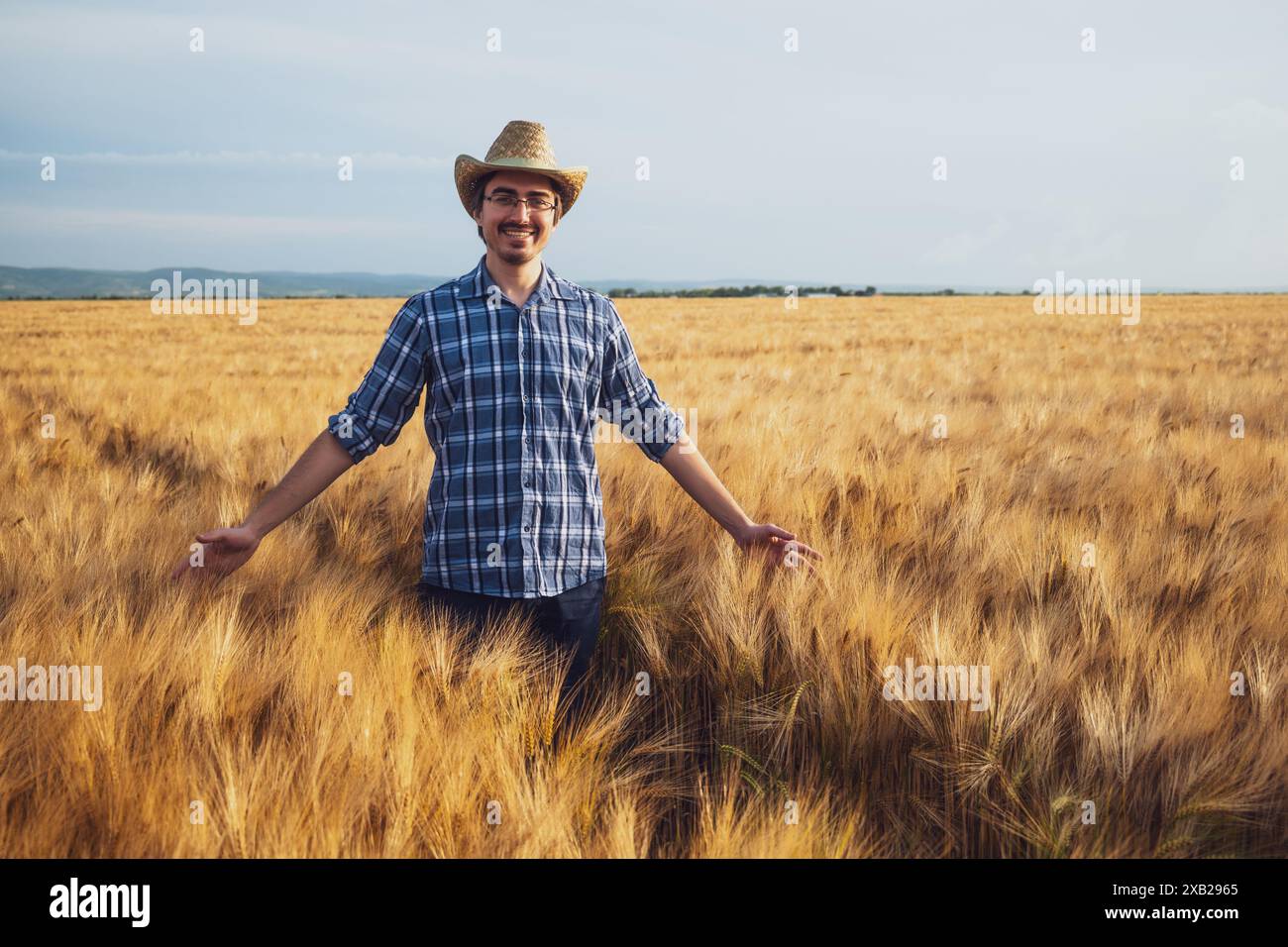 Happy farmer in his wheat field. He is examining crops Stock Photo - Alamy
