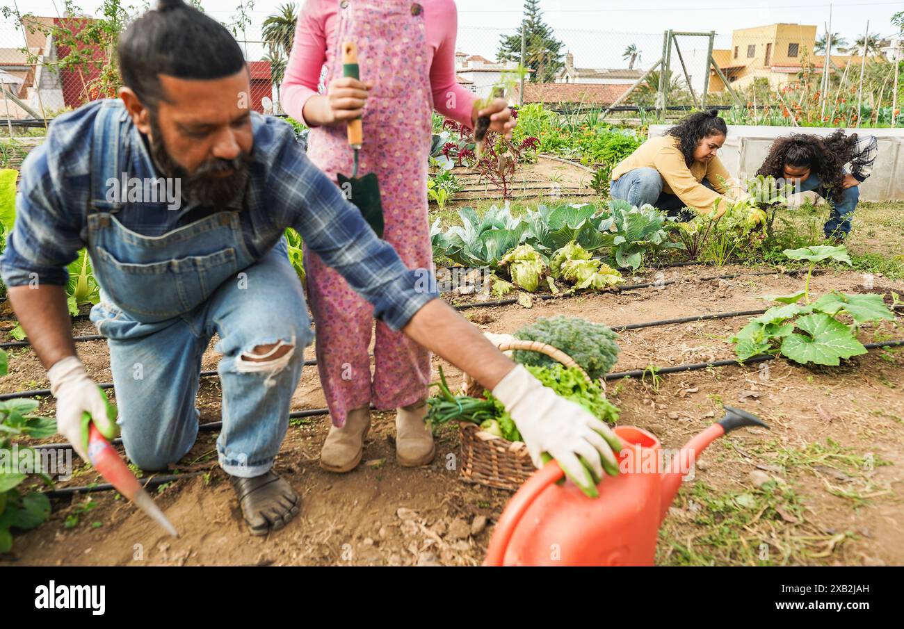 Indian family picking up organic vegetables from house garden outdoor ...