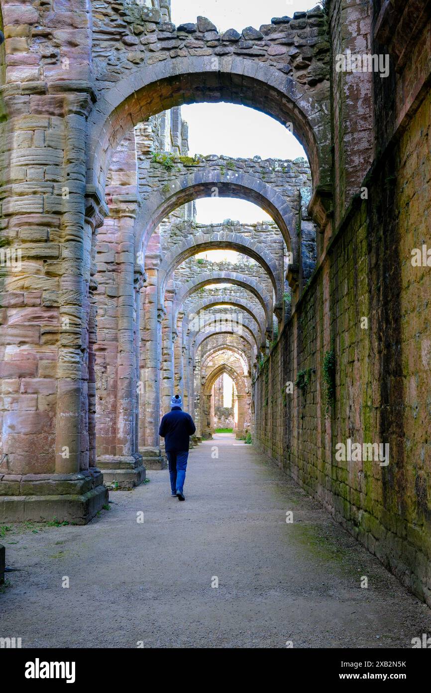 A man walking down the Nave of Fountains Abbey, Ripon, North Yorkshire