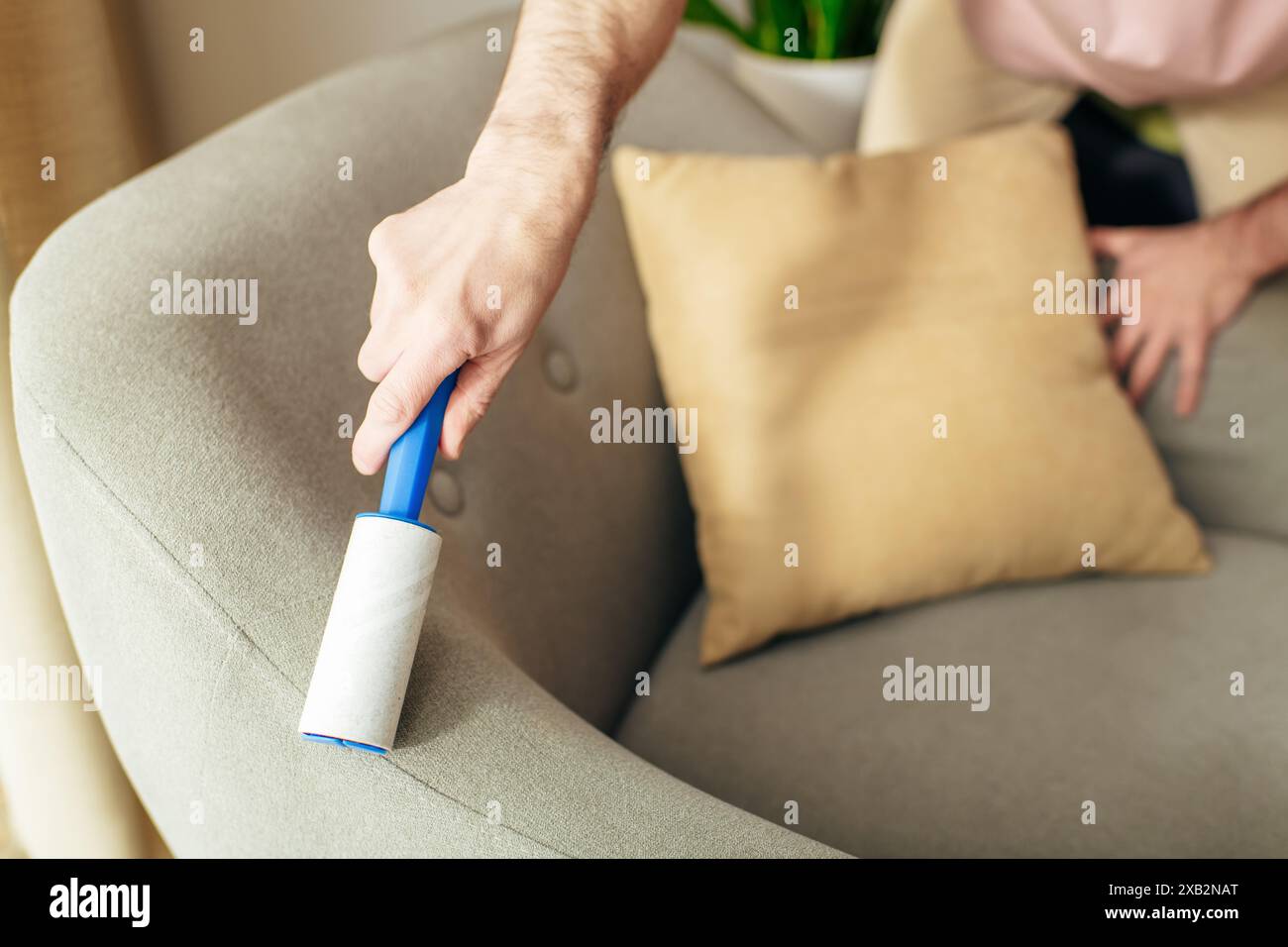 A man in cozy homewear meticulously cleans a couch using a blue sticky roller. Stock Photo