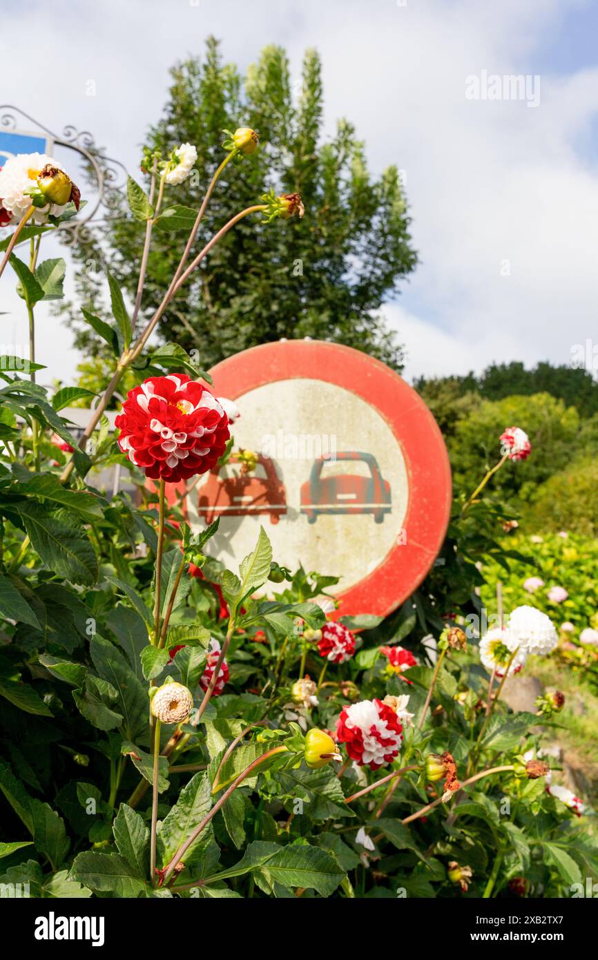 White prohibited symbol on vibrant hi-res stock photography and images ...