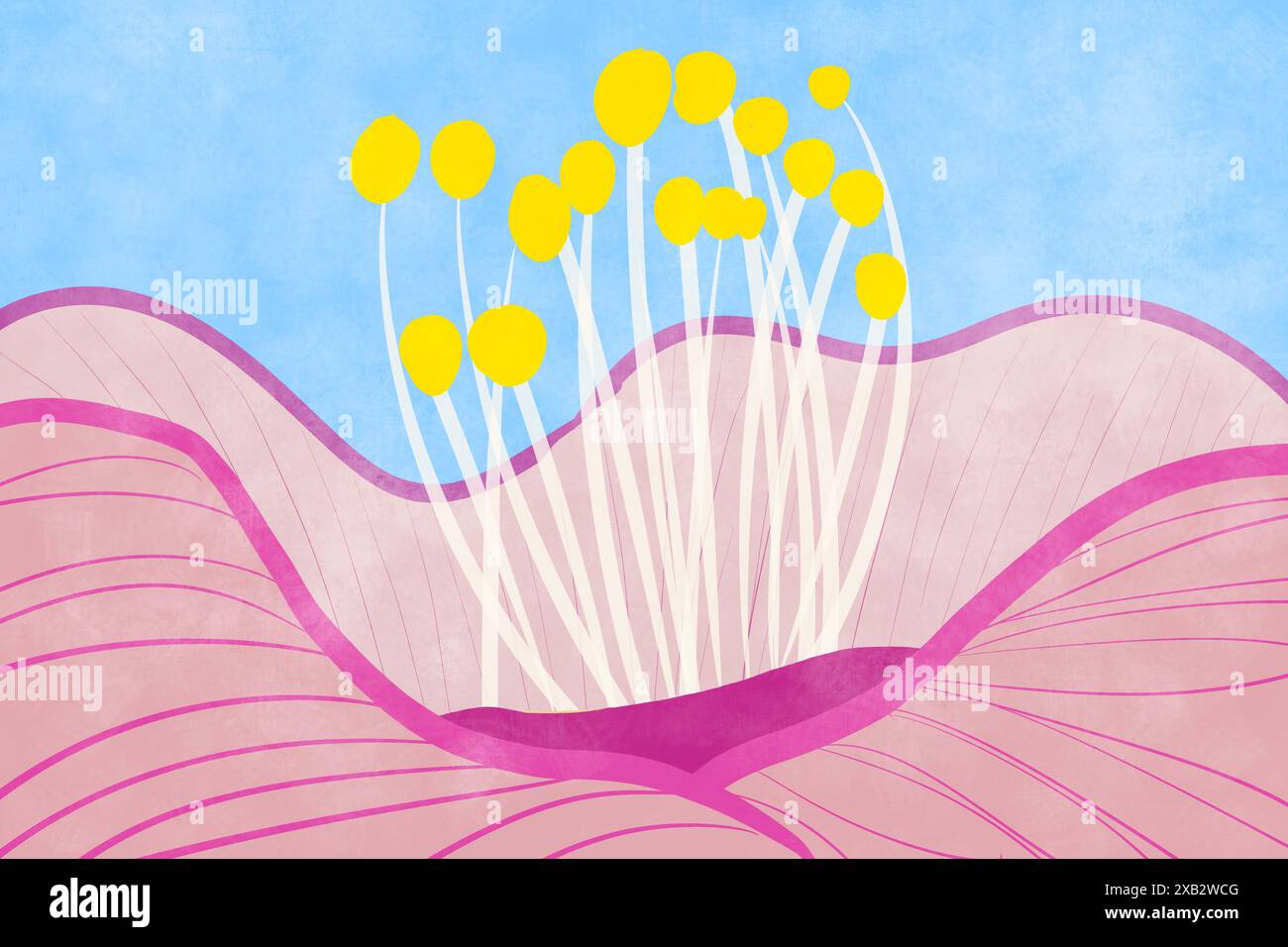 Blooms atop slender stalks hi-res stock photography and images - Alamy