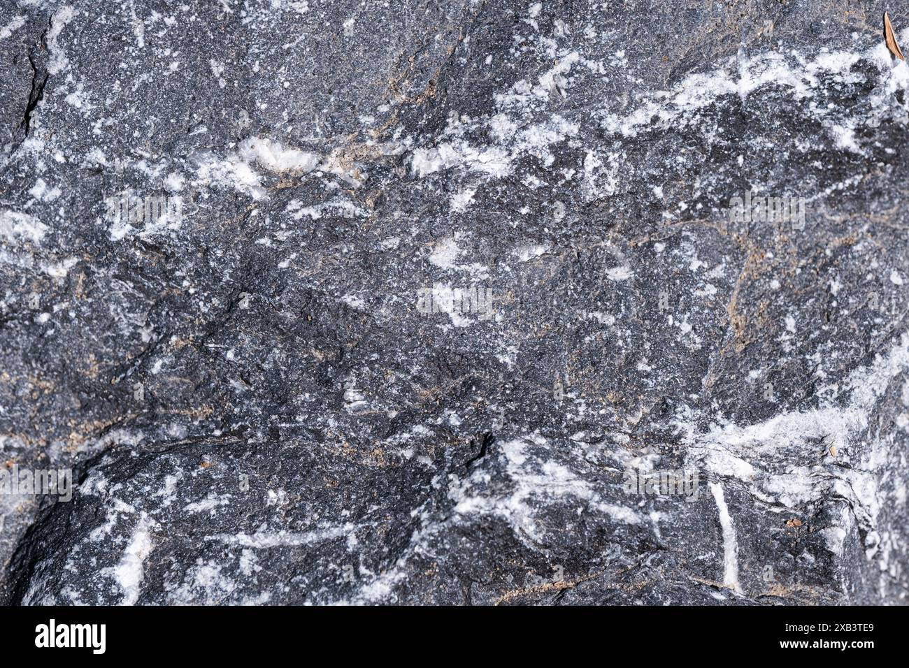 Background and texture granite gray rock Stock Photo