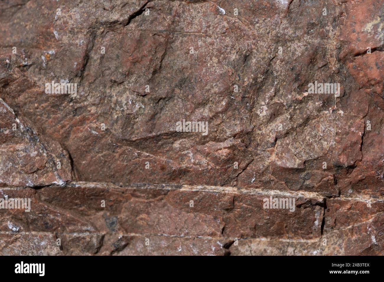Background and texture granite red rock Stock Photo
