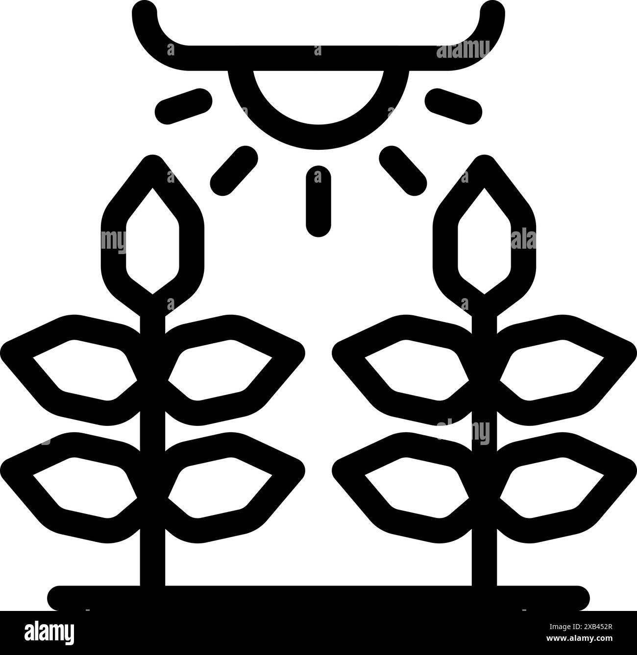 Indoor farm using hydroponics with artificial light from led lamp Stock Vector Image & Art Alamy