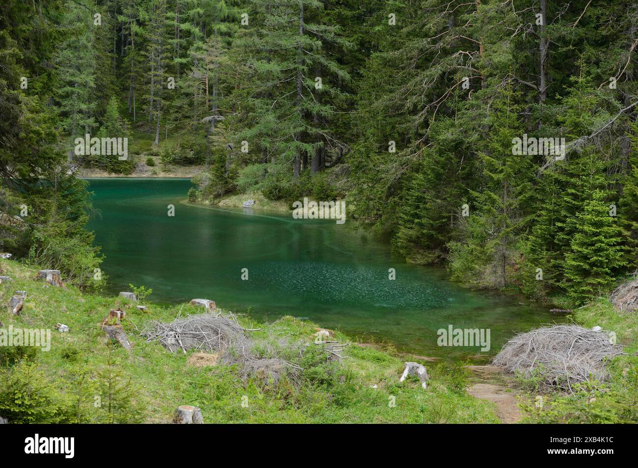 Lush vegetation surrounds hi-res stock photography and images - Alamy