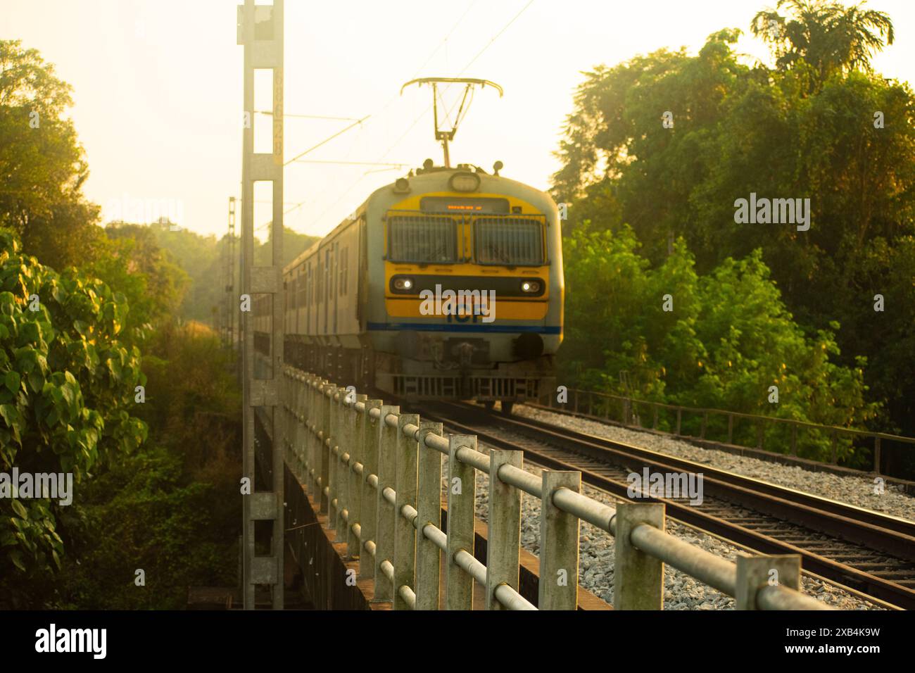 A local electric train makes its way through dense greenery, with passengers standing by the tracks, capturing the essence of everyday life and transp Stock Photo