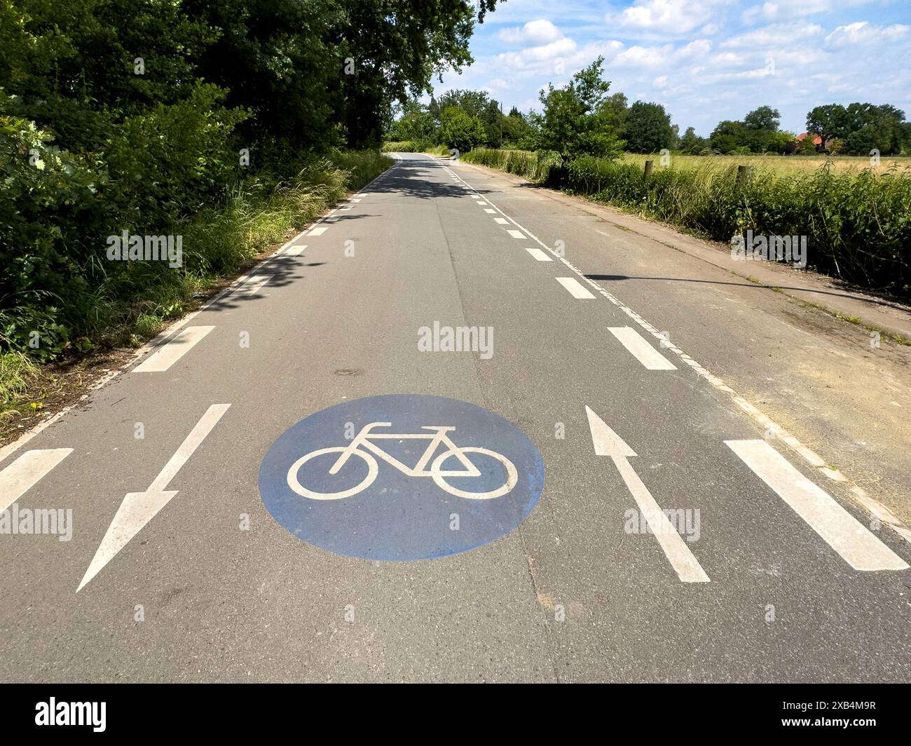 Bike lane marking sale