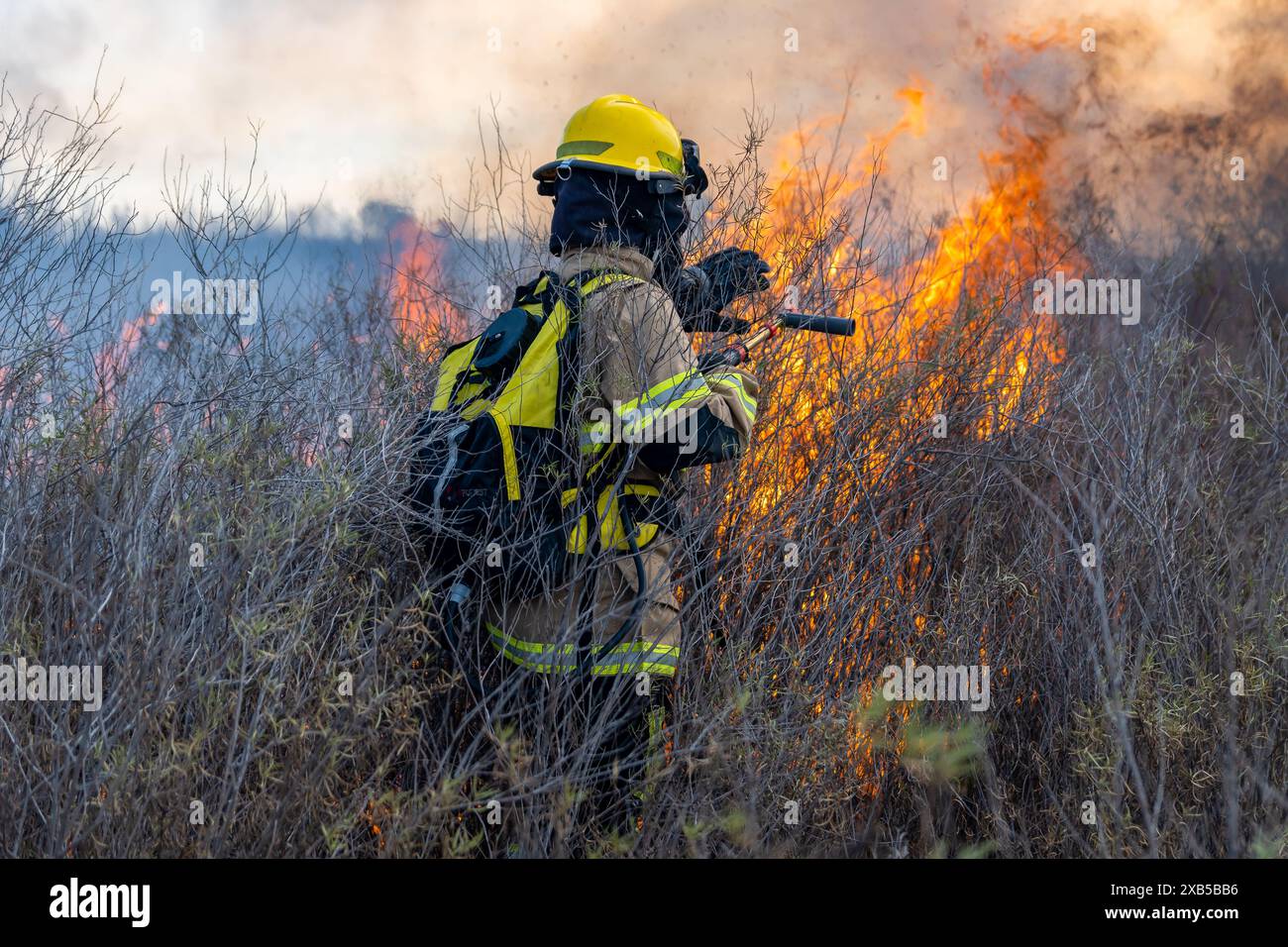 Fire service putting out wildfire hi-res stock photography and images