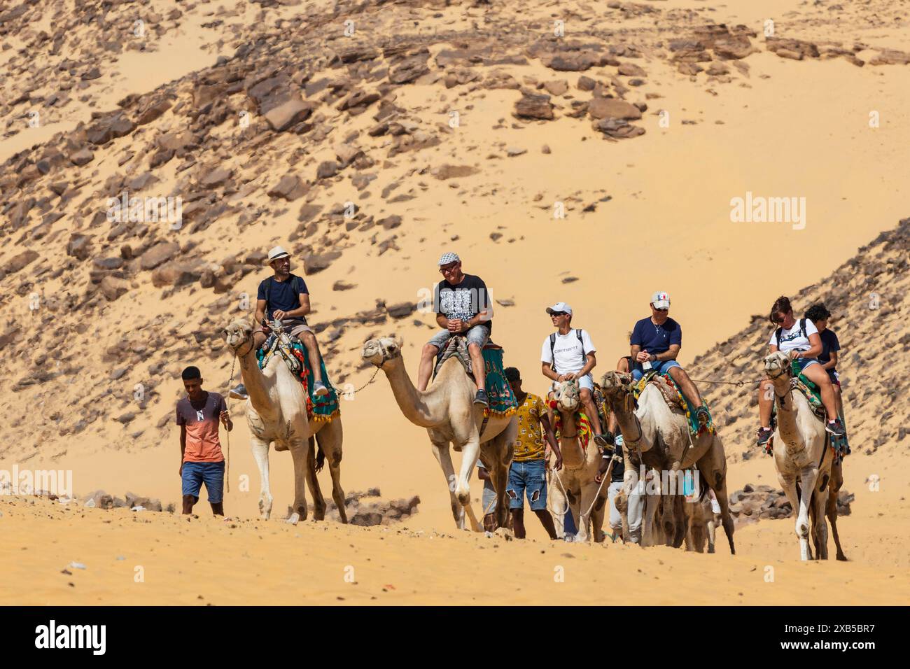 Camel safari with tourists near Aswan, Egypt, North Africa, Africa Stock Photo