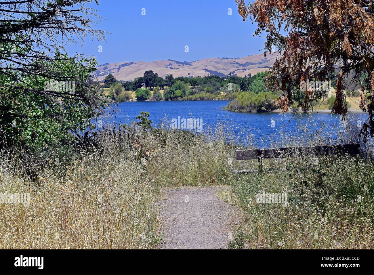 quarry-lakes-regional-recreation-area-fremont-california-stock-photo
