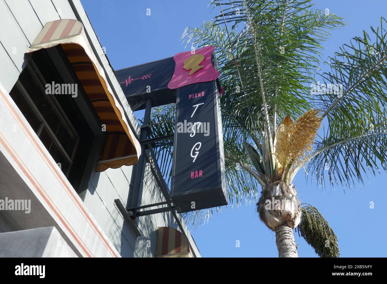 Los Angeles, California, USA 8th June 2024 Darren CrissÕs Tramp Stamp