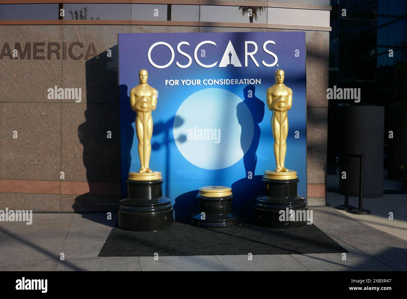 Oscars 2024: The Fyc Screeners That Are Guaranteed To Be A Hit! - lqtg8lz