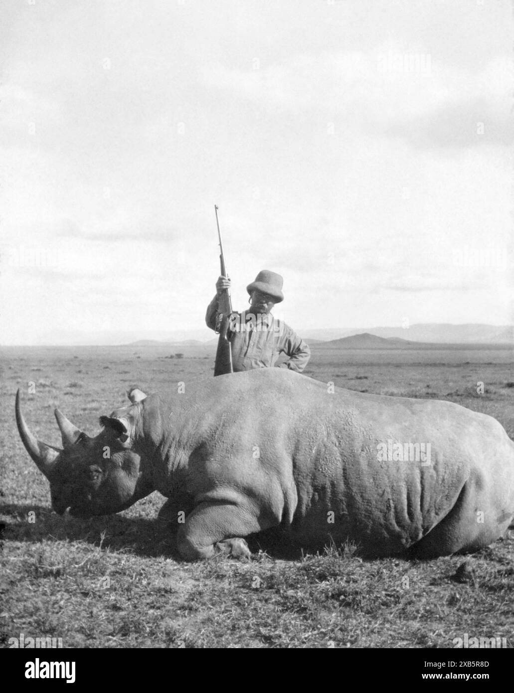 U.S. ex-President Theodore Roosevelt (1858-1919) standing over an African black rhino he shot during the Smithsonian–Roosevelt African Expedition in 1909 where he, along with his son Kermit, sought to collect specimens for the Smithsonian's new natural history museum. Stock Photo