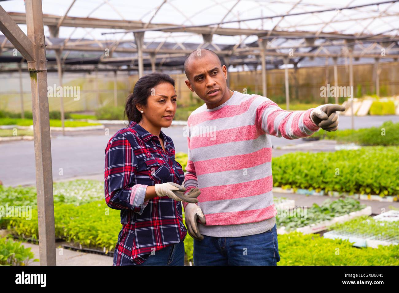 Two latino garden workers discussing working process Stock Photo