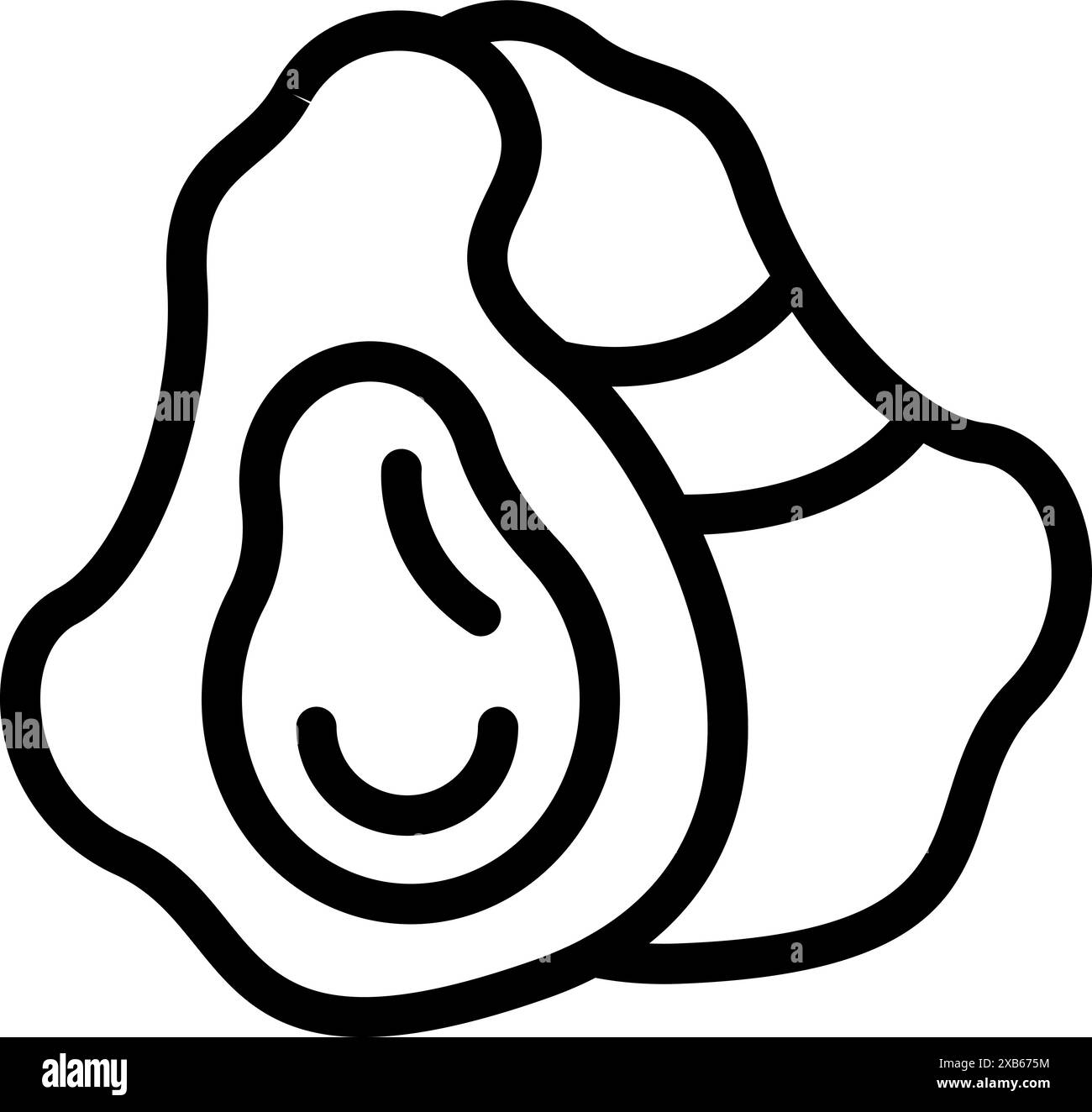 Opened oyster shell with meat inside showing delicious and fresh