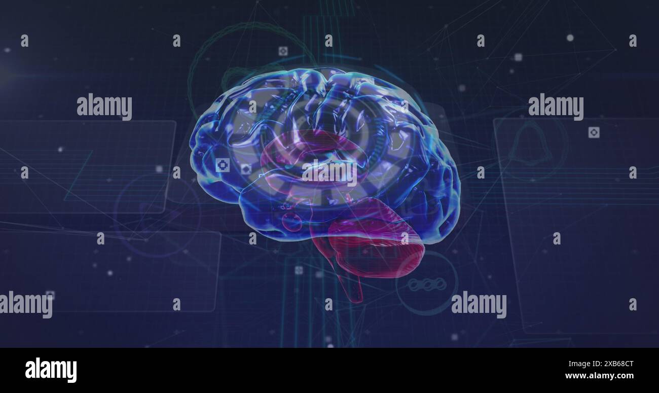 Digital rendering of human brain with highlighted sections in blue and red Stock Photo