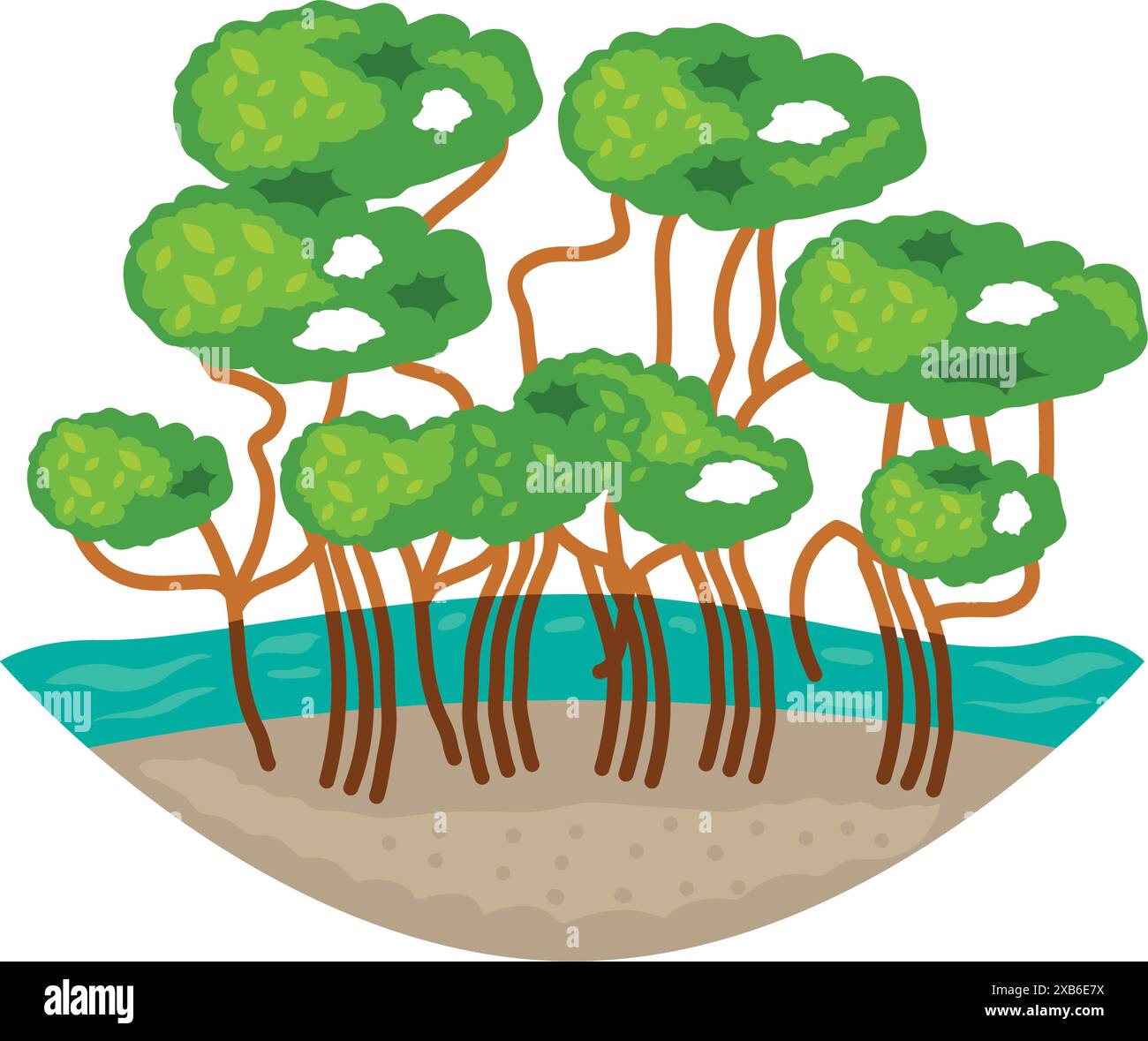 mangrove forest in sea Stock Vector Image & Art - Alamy