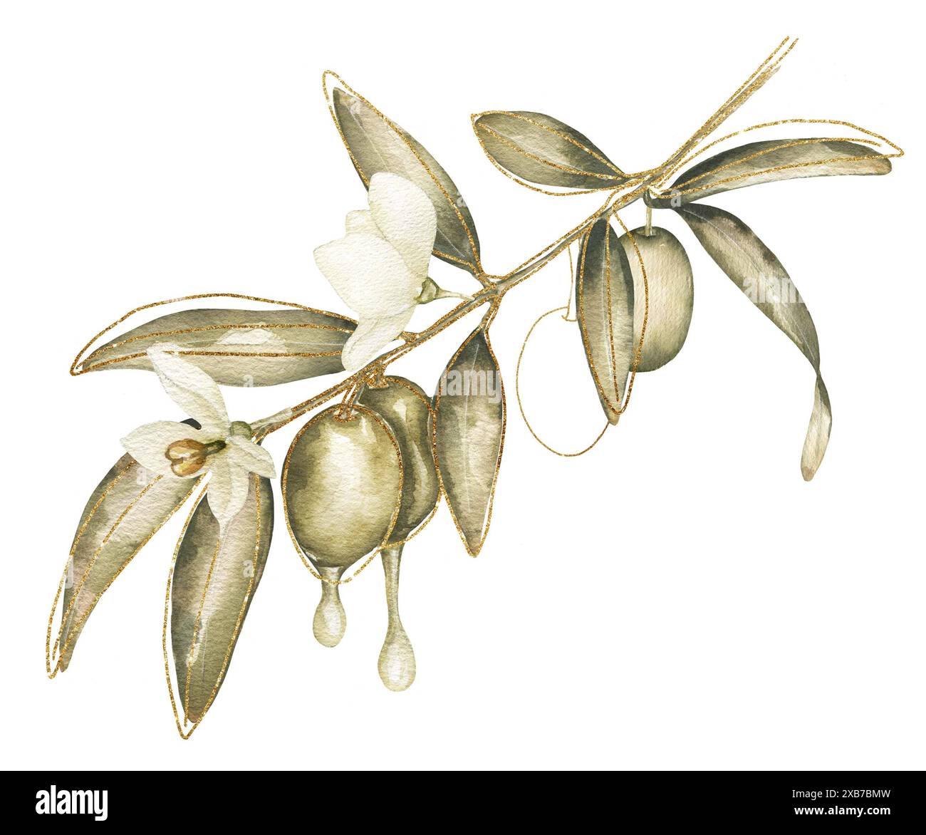 Plant diy Cut Out Stock Images Pictures Alamy