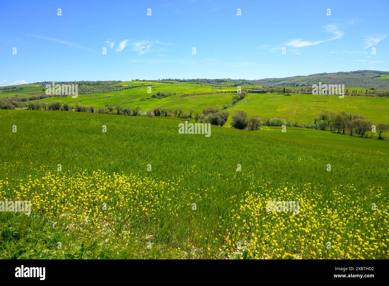 Tuscany, Italy - April 26, 2023: Tuscan countryside in Siena province, Italy Stock Photo