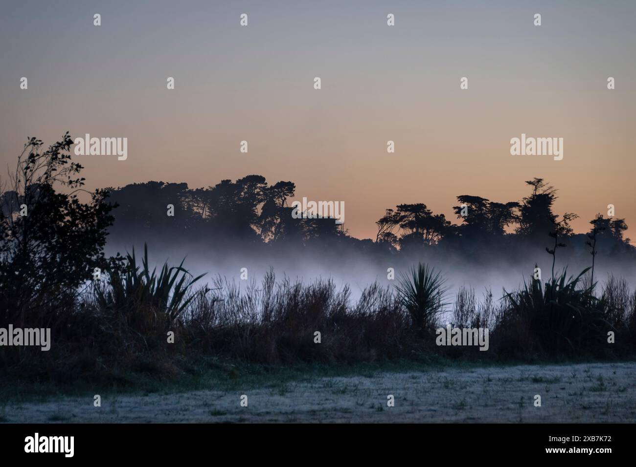 Mist over Lake Horowhenua at dawn, Levin, Horowhenua, North Island, New ...