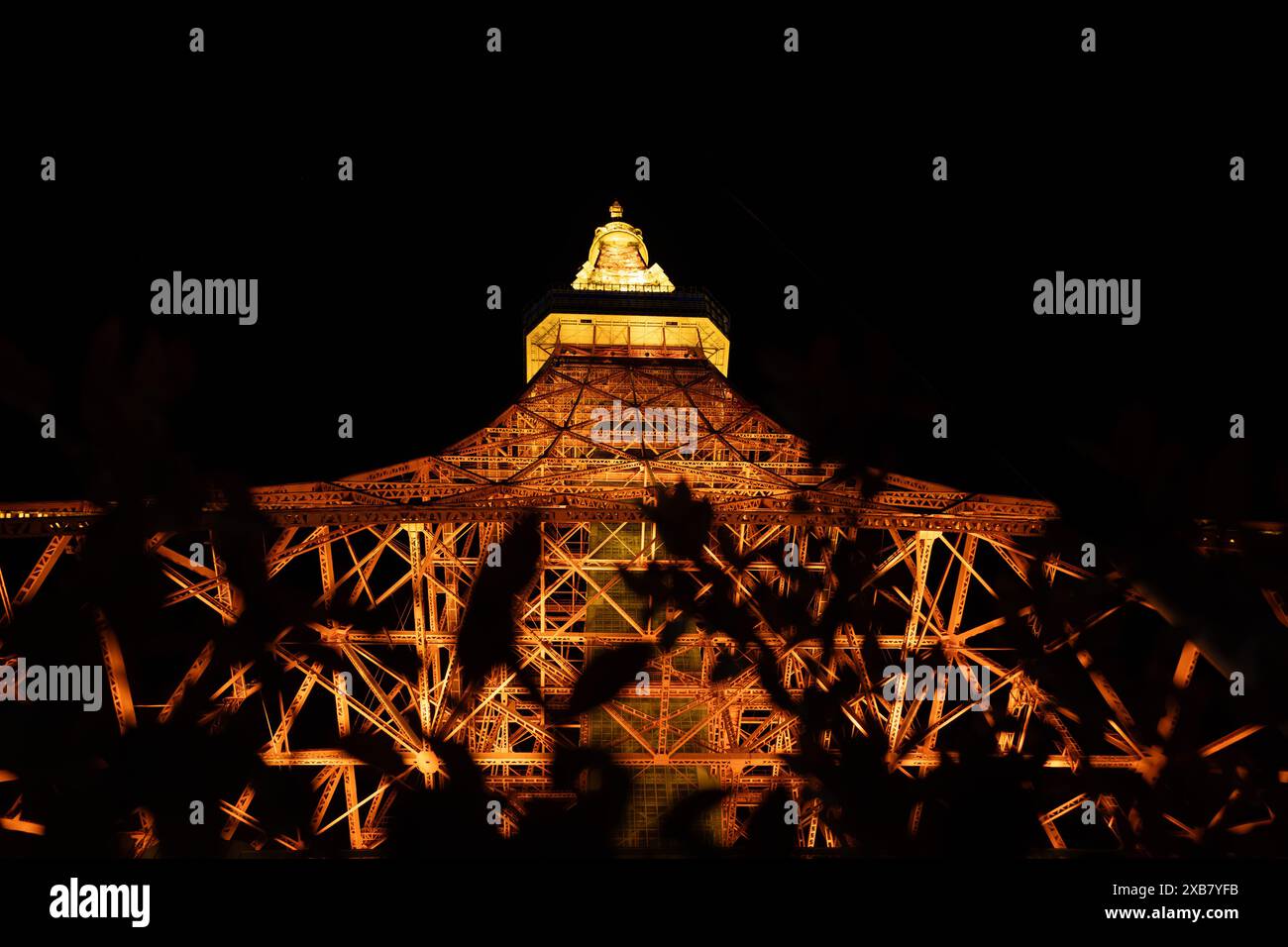 The Eiffel Tower glows at night, seen through trees from below Stock Photo