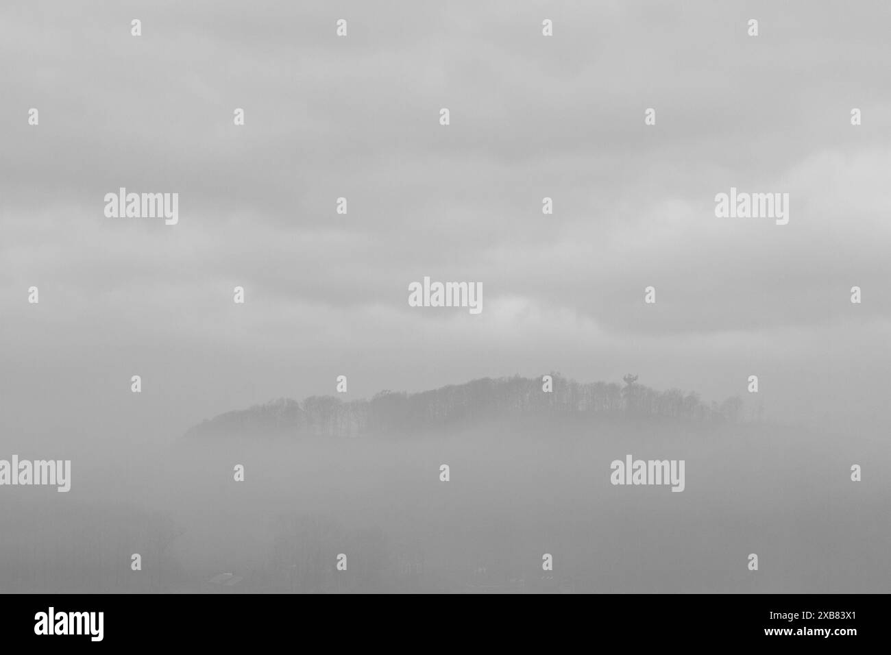 The cows grazing in a green pasture under a cloudy sky Stock Photo - Alamy