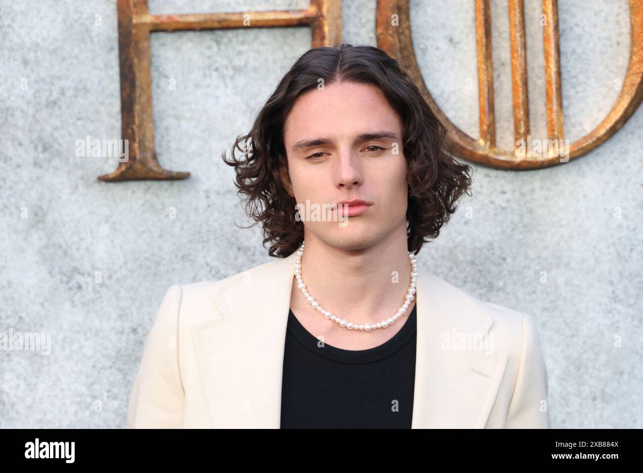 Harry Collett, House of the Dragon - Season 2 UK Premiere, Leicester