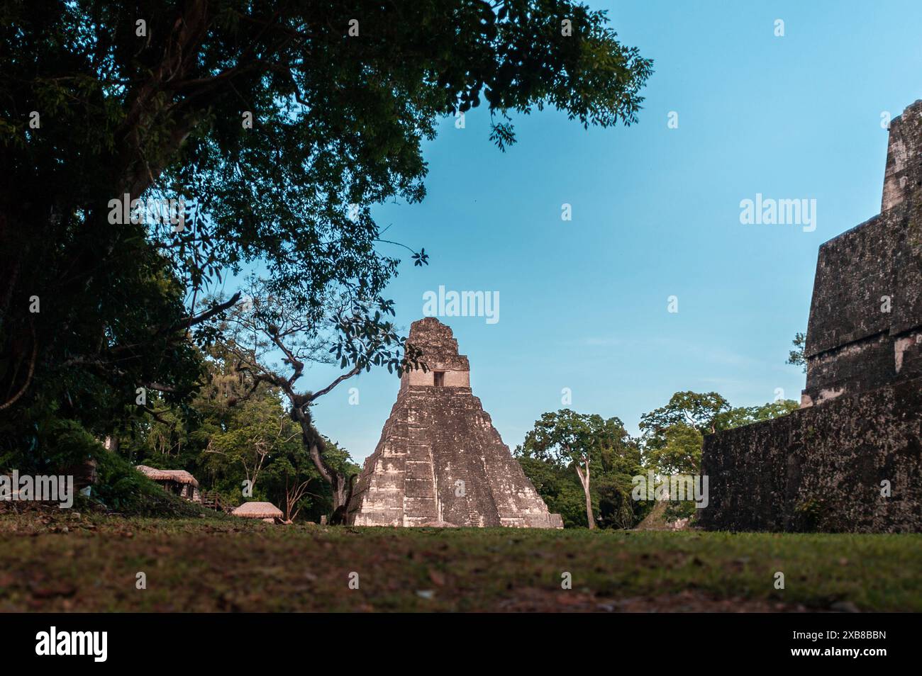 A massive pyramid surrounded by a lush forest landscape Stock Photo - Alamy
