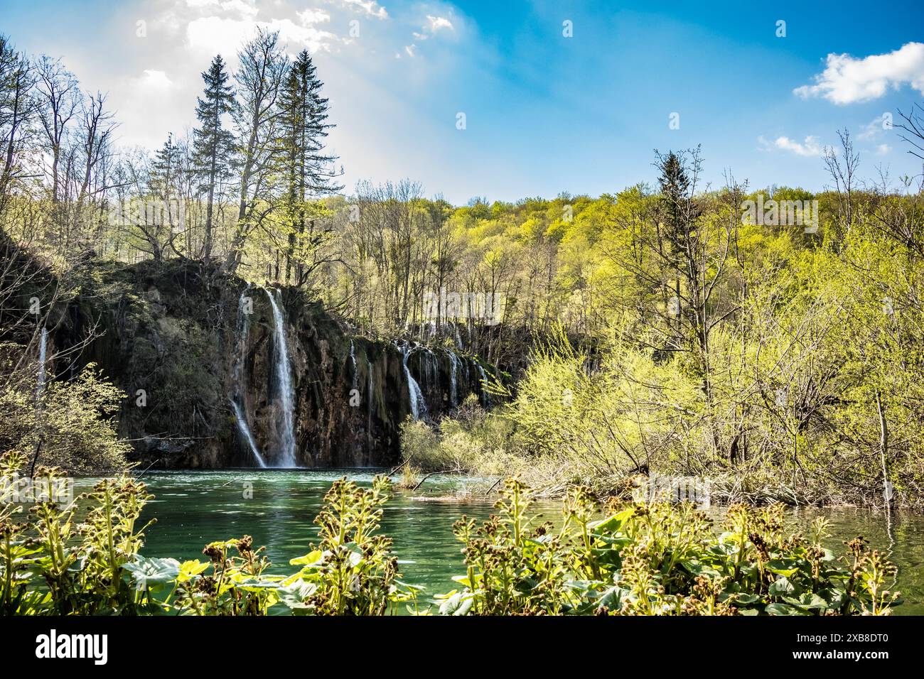 Scenery full water streams waterfalls at Plitvice national nature park ...