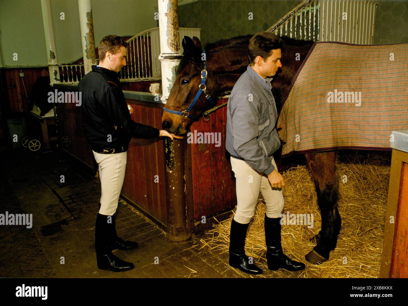 Royal Mews, Buckingham Palace, Stable block. Grooms working for Buckingham Palace 1991 1990s London UK HOMER SYKES Stock Photo