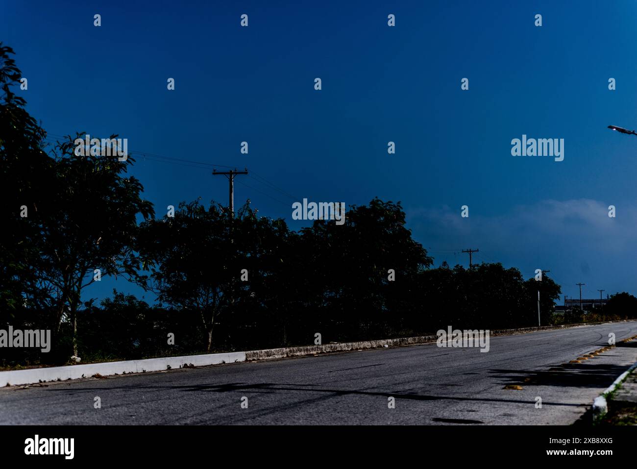 Nighttime street scene trees hi-res stock photography and images - Alamy