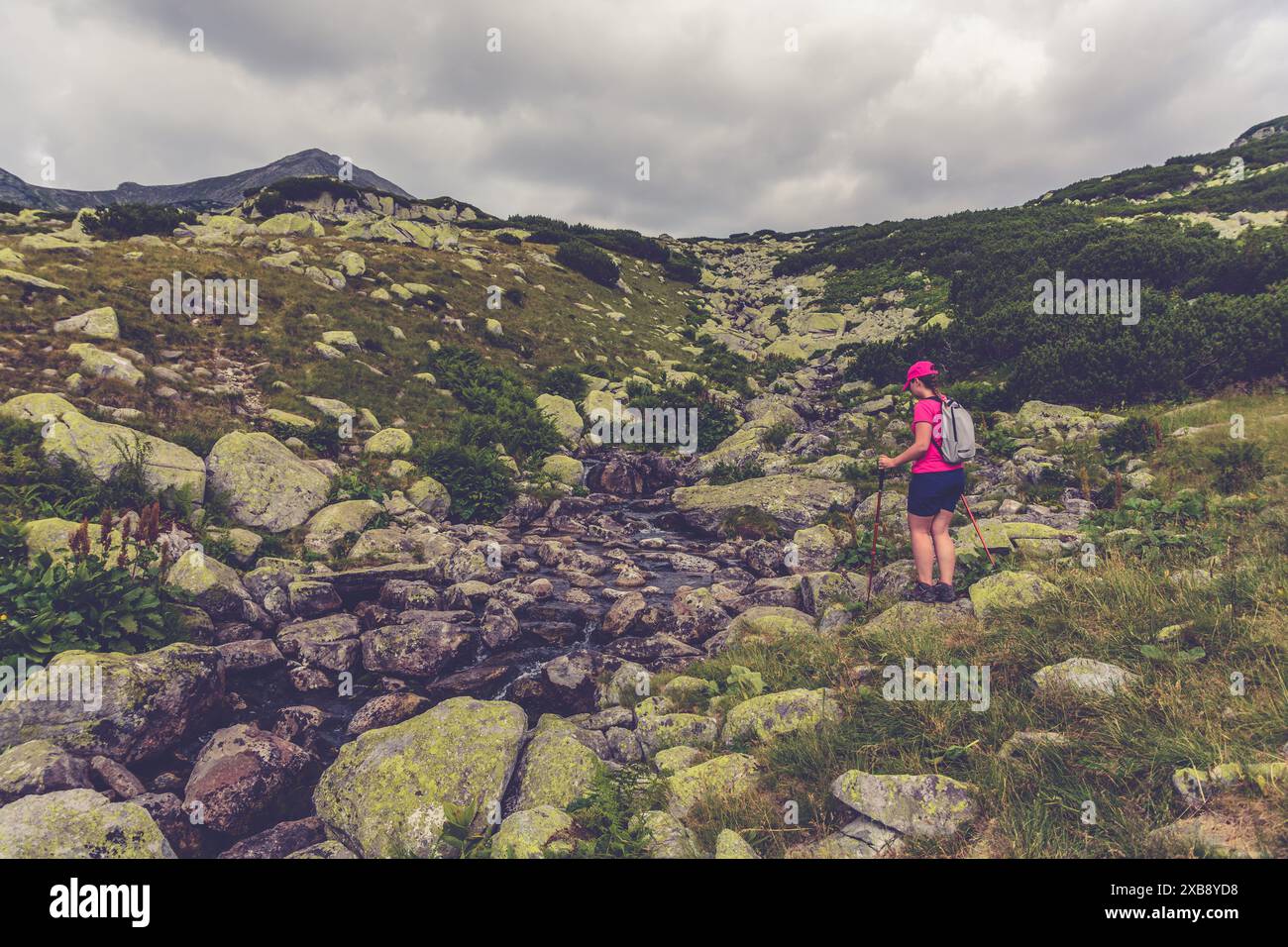 Female hiker on wilderness trail hi-res stock photography and images ...